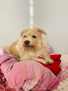 Meet your Posher, Margot